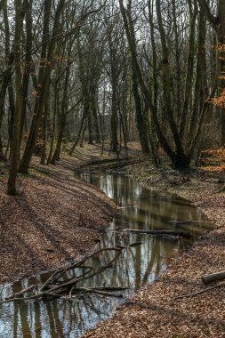 Frankfurt, Hesse, Almanya 'daki Nidda Nehri' nin yan silahı.