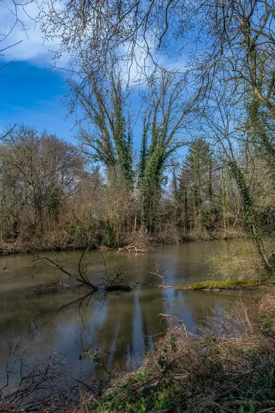 Braccio Laterale Del Fiume Nidda Francoforte Assia Germania — Foto Stock