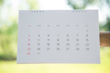 JCalendar kadar yeşil doğa üzerinde kapatın.