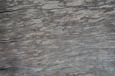 Soyut ahşap doku üzerinde Kapat.