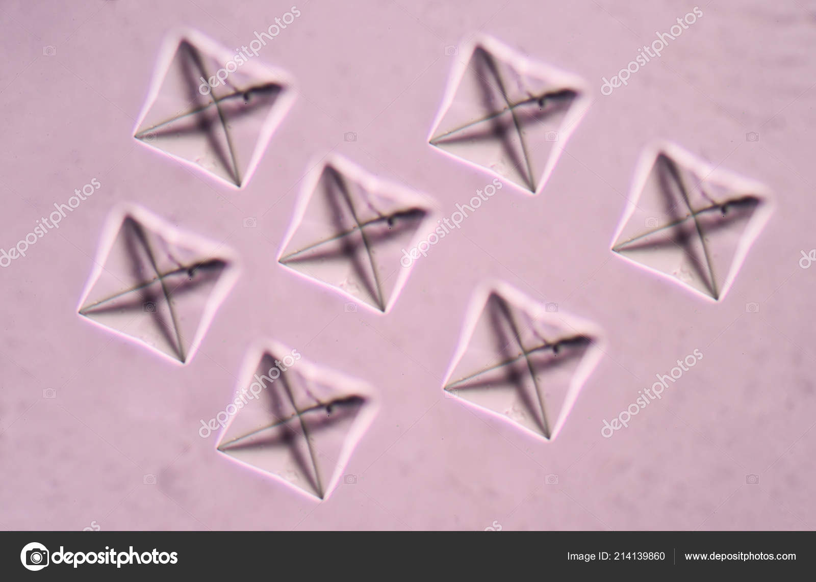 Cristales de oxalato