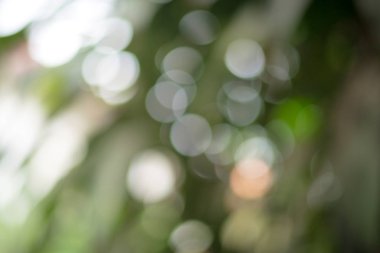 soyut doğa bulanık arkaplan.