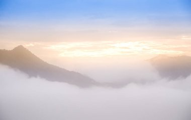 Günışığı doğa ile bulanık sisli manzara.