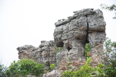 Yeşil Doğa üzerinde büyük taşı kapatın.