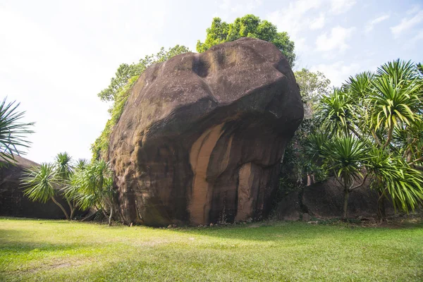 クローズ アップ スーパーの大きな石の上に緑豊かな公園 — ストック写真