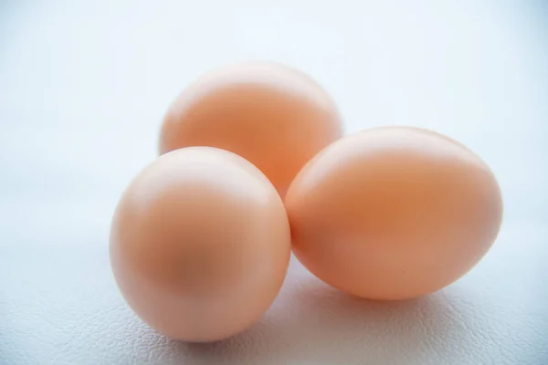 Grupo de ovos em tom branco . — Fotografia de Stock