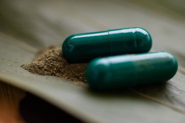 Yeşil marihuana bitki.