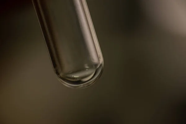 Um tubo de teste no conceito de ciência . — Fotografia de Stock