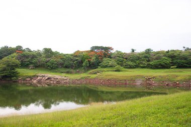 Peyzaj doğa yeşil arka plan.