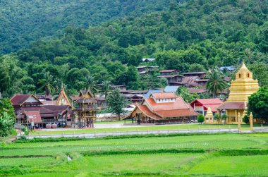 Amphoe Na Haeo loei yeşil pirinç filde.