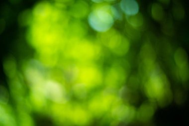 Duvar kağıdıyla soyut yeşil bokeh.