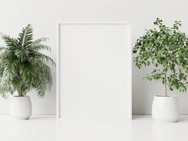 Interior poster mock up with plant pot,flower in room with white wall. 3D rendering