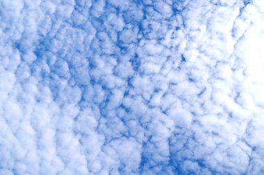 Fluffy altocumulus clouds floating in a bright blue sky for use as a background. clipart