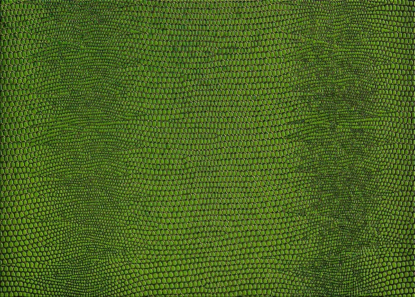 Snakeskin print in green for use as a background or texture.