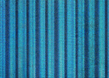 Arka plan veya doku olarak kullanılmak üzere yılan derisi baskılı perde