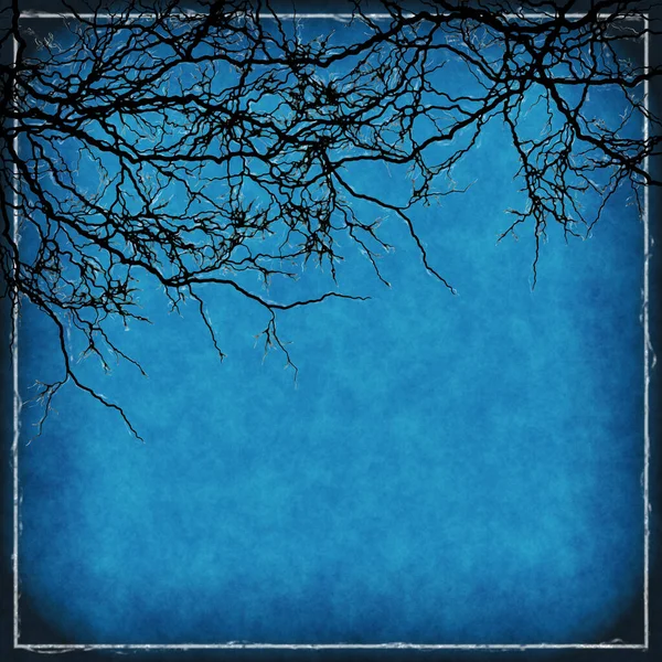 Ağaç dalları ve kopyalama alanı olan sisli bir kış sahnesi