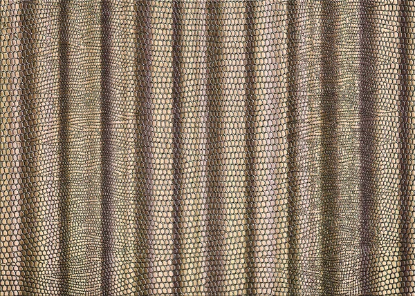 Snakeskin Print Curtain Light Gold Use Background Texture — Stock Photo, Image