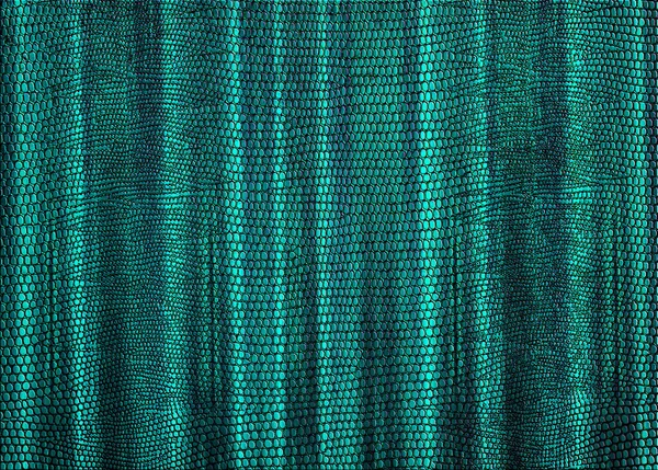 Tenda Stampa Pelle Serpente Verde Blu Uso Come Sfondo Texture — Foto Stock