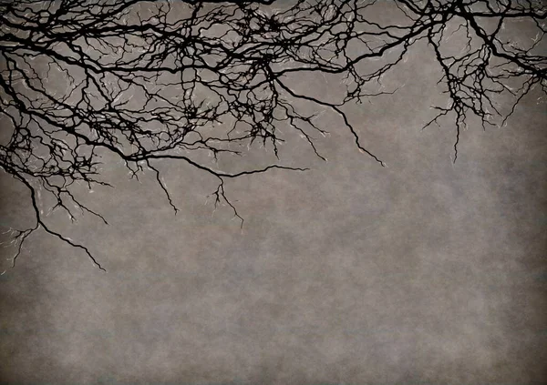 Хеллоуїн Осінній Фон Відтінках Строкатого Коричневого Сірого Гілками Дерев Простором — стокове фото