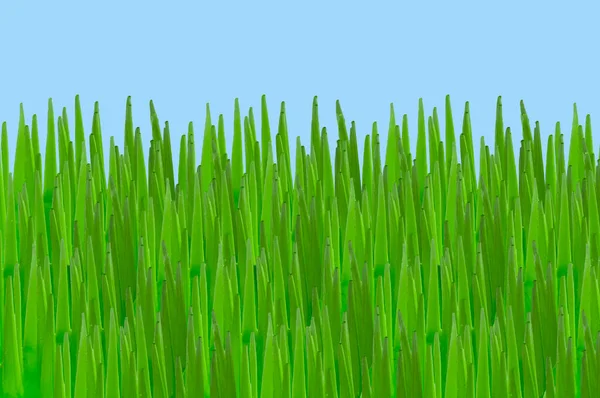 Cartoon grass texture Stock Photos, Royalty Free Cartoon grass texture  Images | Depositphotos