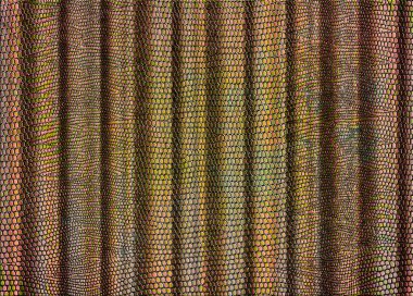 Arkaplan ya da doku olarak kullanmak için yanardöner yılan derisi baskı perdesi