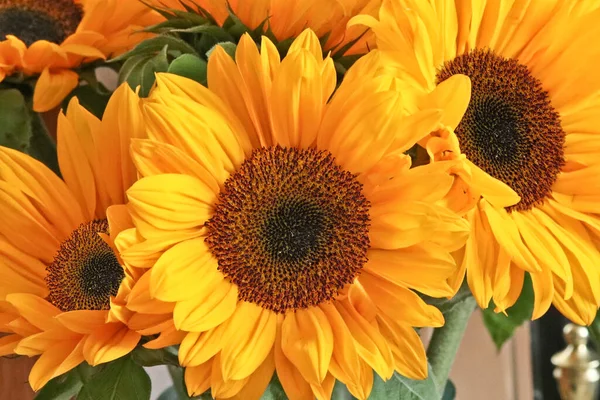 Evde güzel ayçiçekleri sergileniyor.