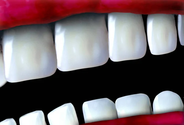 3 boyutlu illüstrasyonda dişler soyutlanır