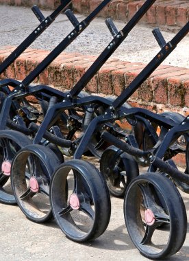 Yakın çekim için bir sıra golf arabası kiralanacak.