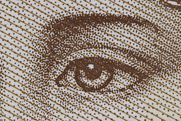 Macro Pound Note Showing Eye Jane Austen — Stock Photo, Image