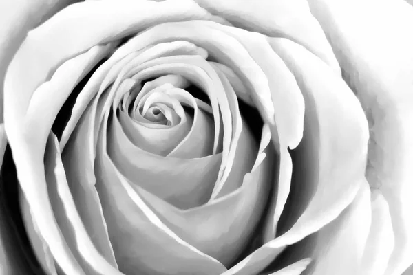 Abstrakcyjny Różowy Akwarelowy Obraz Białym — Zdjęcie stockowe
