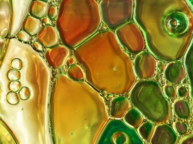 Altın ve yeşilden oluşan bir yağ ve su makrosu.