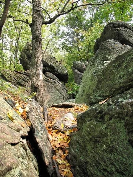 Güney Pensilvanya 'daki Appalachian yolunda büyük kireçtaşı kayaları var.