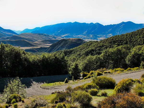 Στην Ανάβαση Του Βουνού Cheeseman Καλοκαίρι South Island Νέα Ζηλανδία — Φωτογραφία Αρχείου