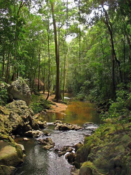 Batı Belize 'deki mağara girişindeki Barton Creek manzarası.