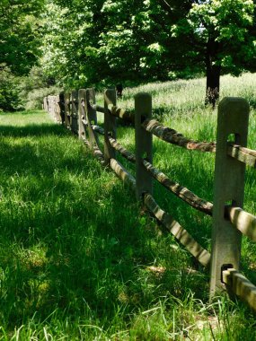 Ahşap bir çit gölgeli bir çayırdan geçiyor.