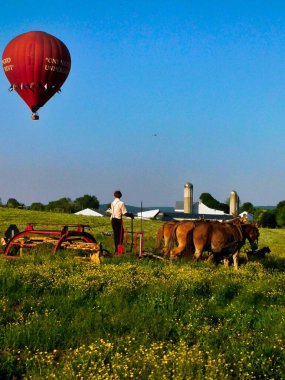 A young Amish man cuts grass in a field with a team of horses, with a hot air balloon hovering above, southeastern Pennsylvania clipart