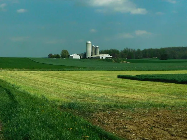 Silos Landwirtschaftliche Gebäude Und Hektar Ackerland Frühling Der Nähe Von — Stockfoto