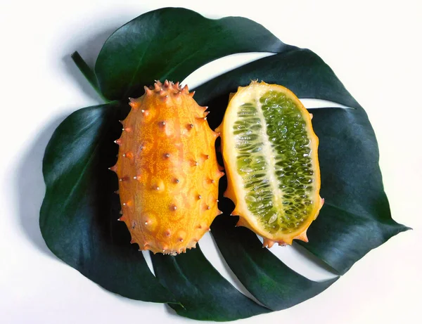 Yeşil dijitalli canavar yaprağına odaklanmış ve güneş ışığıyla aydınlatılmış bir kiwano meyvesi.