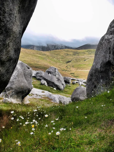 Yeni Zelanda 'daki Kayalıklar Kalesi' nde büyük kireçtaşı iskelet sahnesi.
