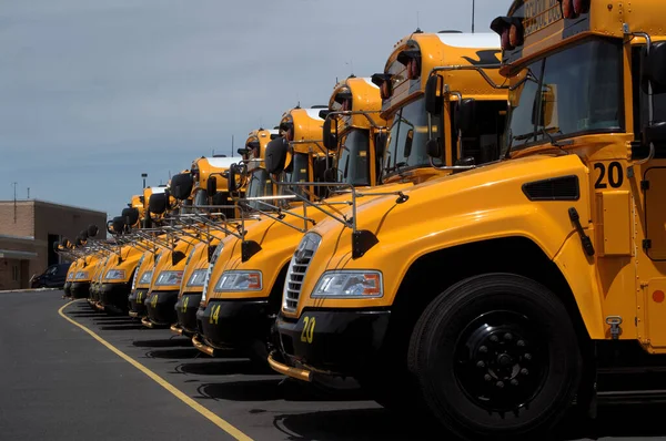 Muitos Ônibus Escolares Amarelos Uma Fileira Estacionamento Ensino Médio Cocalico Fotos De Bancos De Imagens