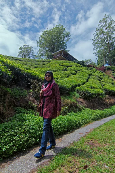 Cameron Highland Malasia Agosto 2017 Una Hermosa Niña Caminando Por — Foto de Stock