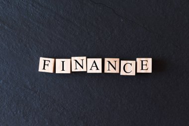 Kelimelerle dolu tahta oyuncak bloklarının düz yatışı - finans