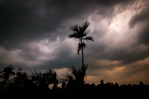 上に濃い雲が立ち並ぶオレンジ色の空の木々のシルエット 嵐の前の静けさ — ストック写真