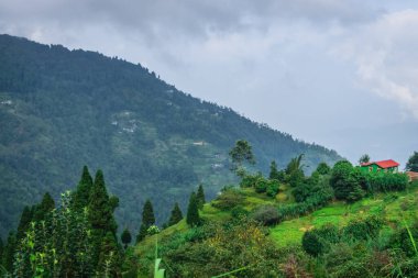 Himalaya 'nın kucağında ağaçlarla dolu yeşil bir vadi. Başka bir vadi ve arka planda gökyüzü