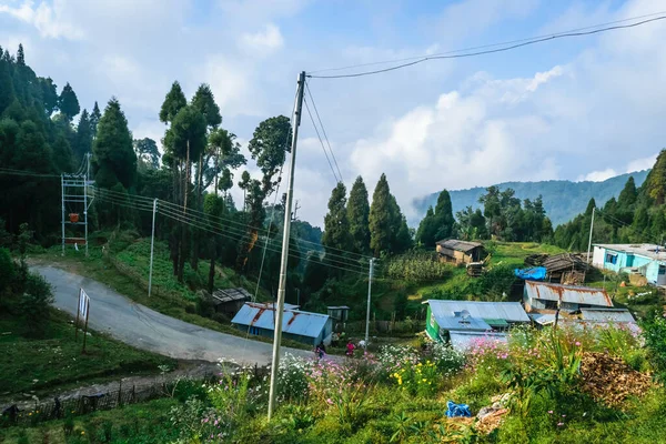 Dağda Bir Otoyol Yanında Yeşillik Yan Yana Çok Var — Stok fotoğraf