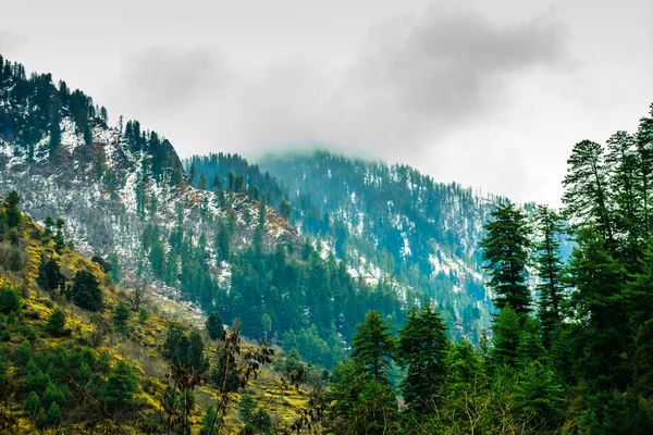 Pine trees arranged in layers in the valley. Clouds passing above