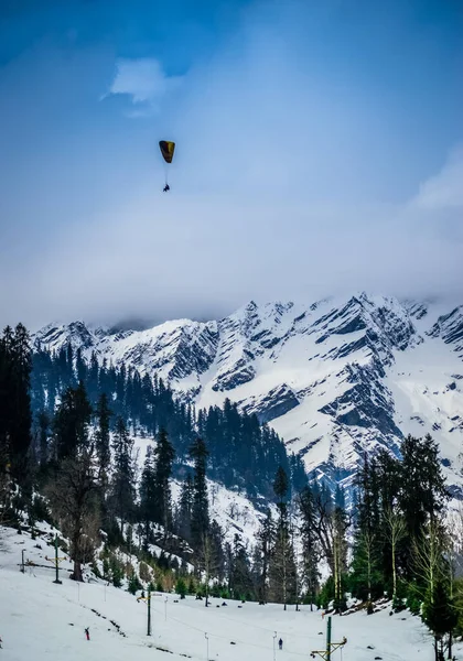 Çam Ağaçları Dağlarla Kaplı Karlı Bir Vadi Paragliding Devam Ediyor — Stok fotoğraf