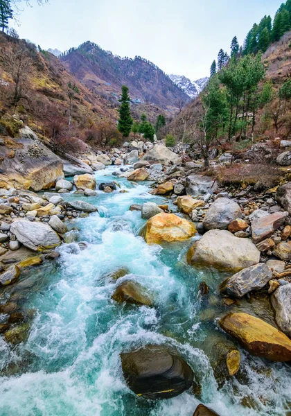 Kenarlarında Üzerinde Kayalar Akan Bir Nehir Arka Planda Dağ Çam — Stok fotoğraf