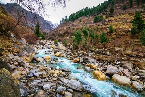 Kenarlarında Üzerinde Kayalar Akan Bir Nehir Arka Planda Dağ Çam — Stok fotoğraf