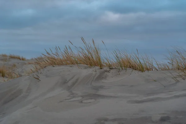 sand dunes at sea on a cold autumn evening